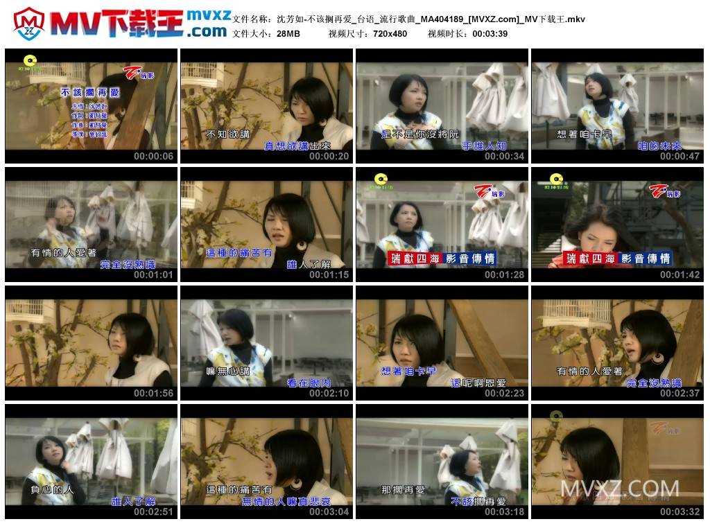 沈芳如-不该搁再爱_台语_流行歌曲_MA404189